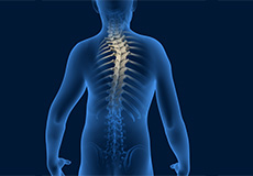 Spine Deformity Surgery